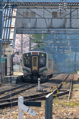 桜と駅