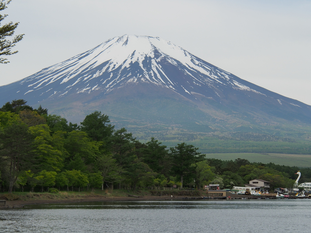 春の富士山