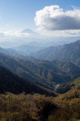 紅葉と富士