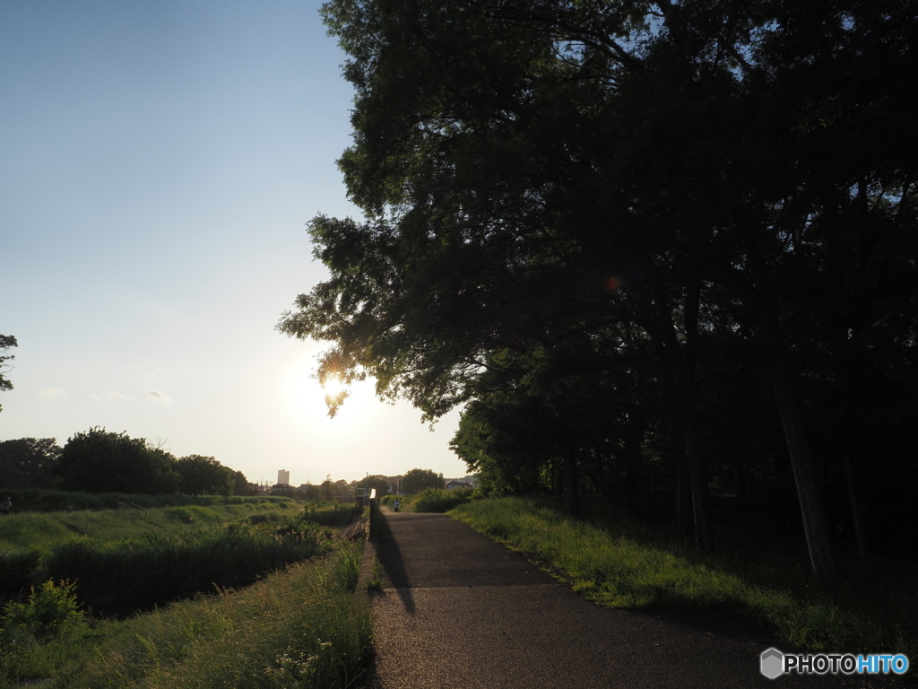 川辺の夕景