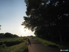 川辺の夕景