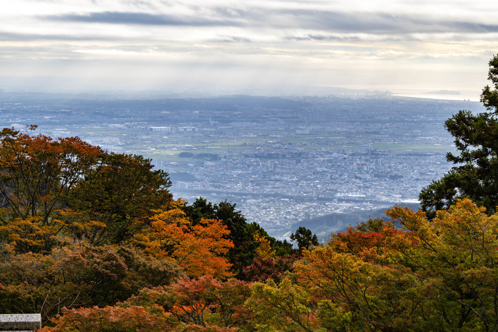 紅葉と街と海