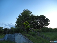 川辺の夕景