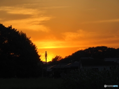 川辺の夕景