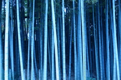構図の練習003