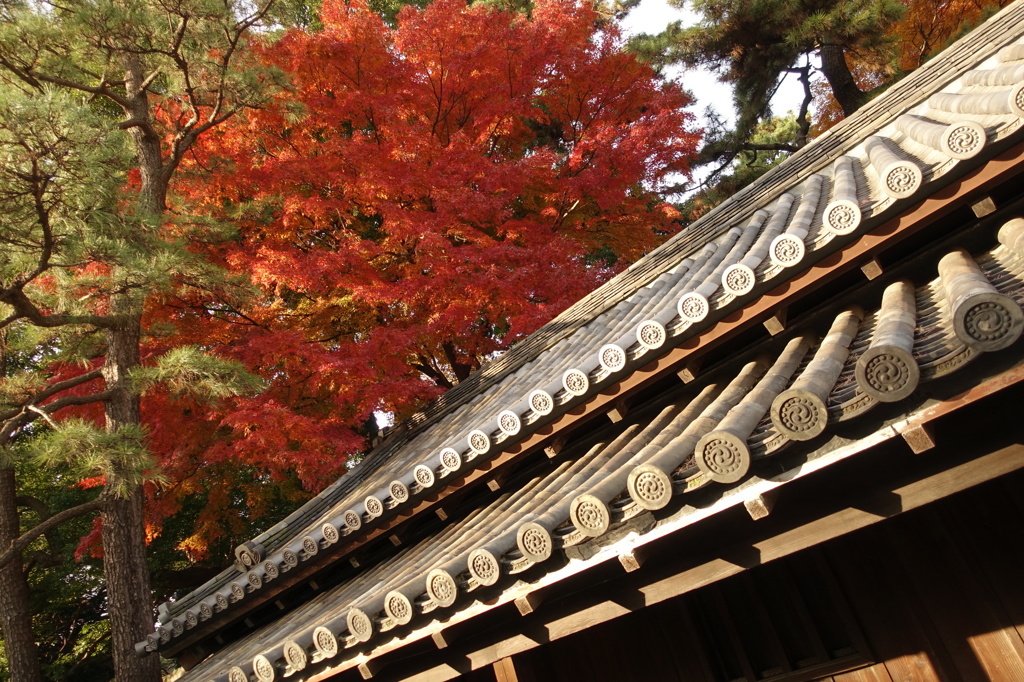 番所と紅葉