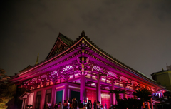 東長寺「博多ライトアップウォーク2013 博多千年煌夜」