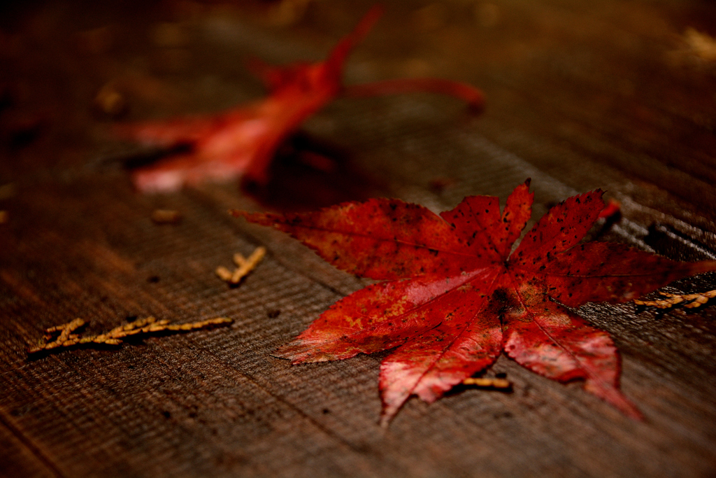 紅の頃