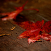 紅の頃