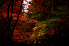 黄昏