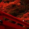 朱の世