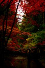 紅の頃Ⅱ