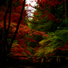 紅の頃Ⅱ