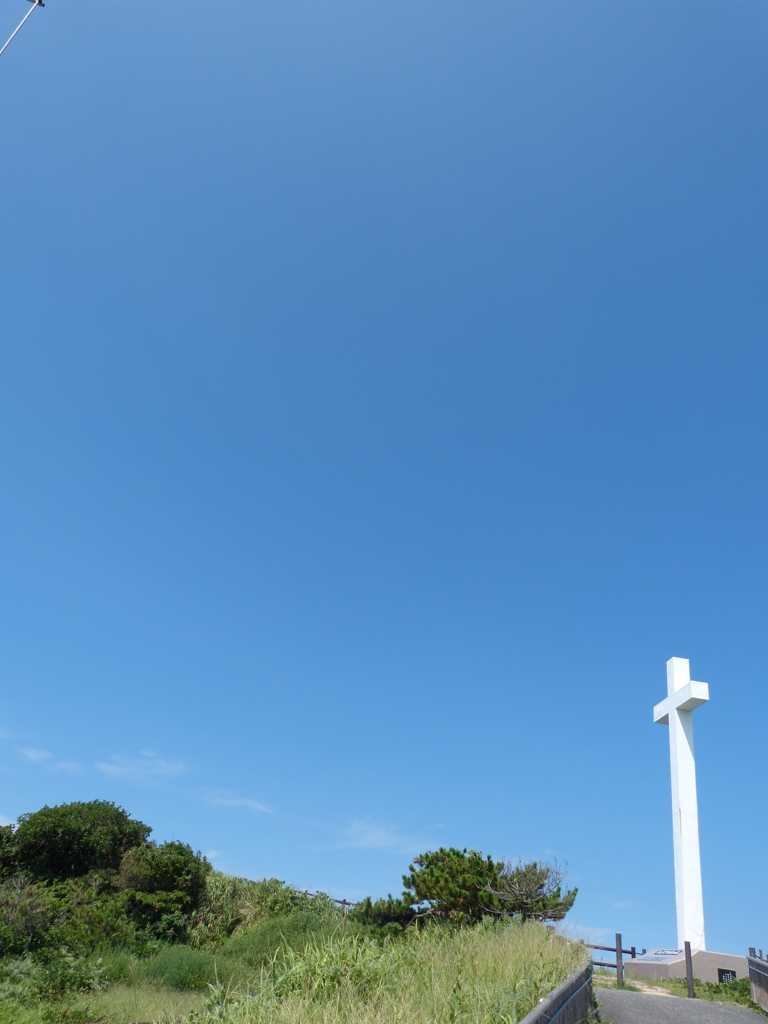 空高く