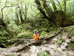 森の奥深くで