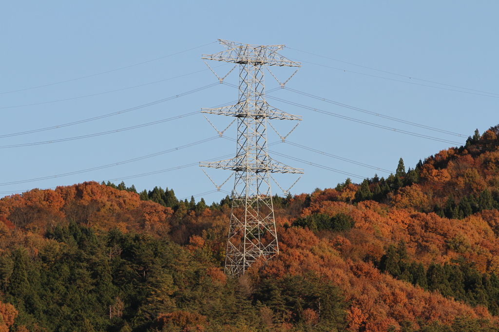 紅葉に囲まれて