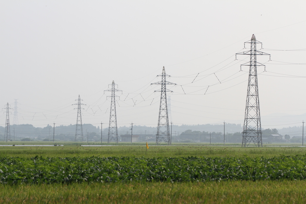 夏の田園＆66kV送電線