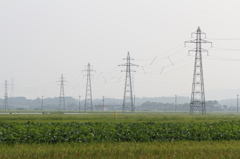 夏の田園&66kV送電線