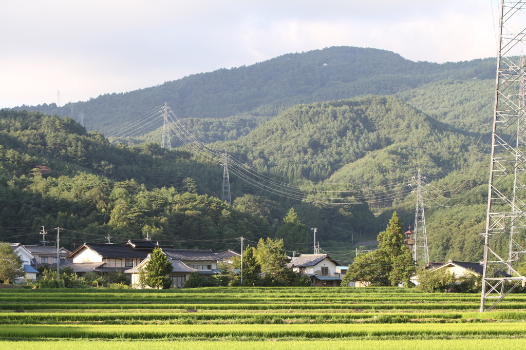 夏の里山＆77kV送電線