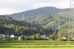 夏の里山＆77kV送電線