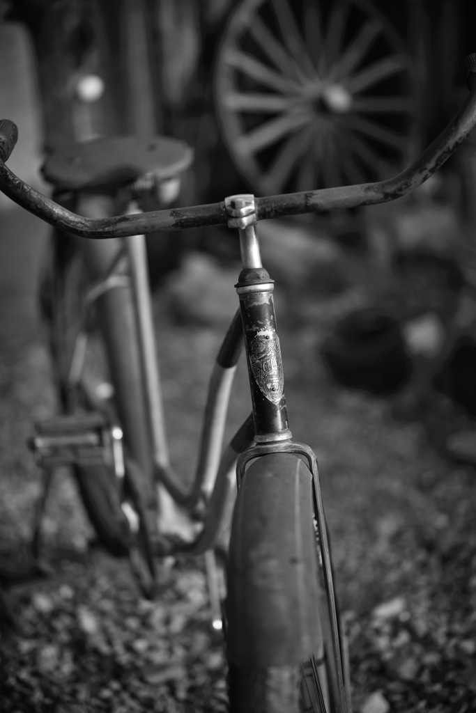 Nelsonの自転車 2014 Otus版