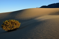 Death Valley NP1