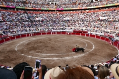 メキシコの思い出 ー 闘牛