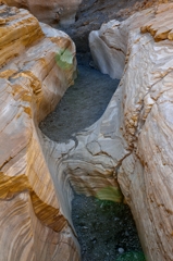 Death Valley NP3