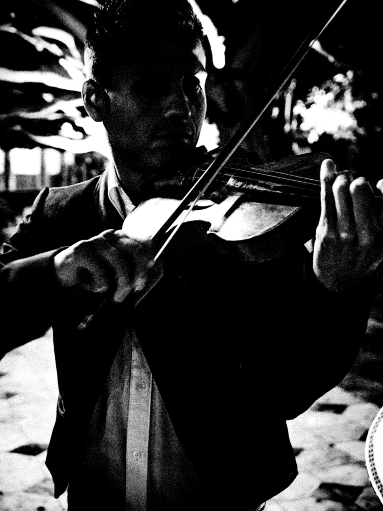 Night of Guanajuato2