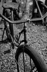 SDIM0541