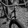 SDIM0541