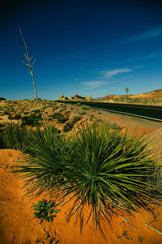 Valley of Fire State Park5
