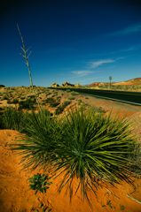 Valley of Fire State Park5