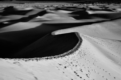 D3S_4018
