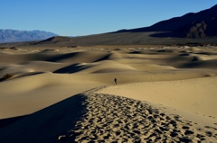 Death Valley NP13