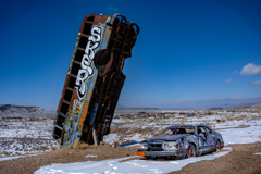 The International Car Forest 