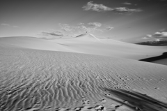 D8P_4275B