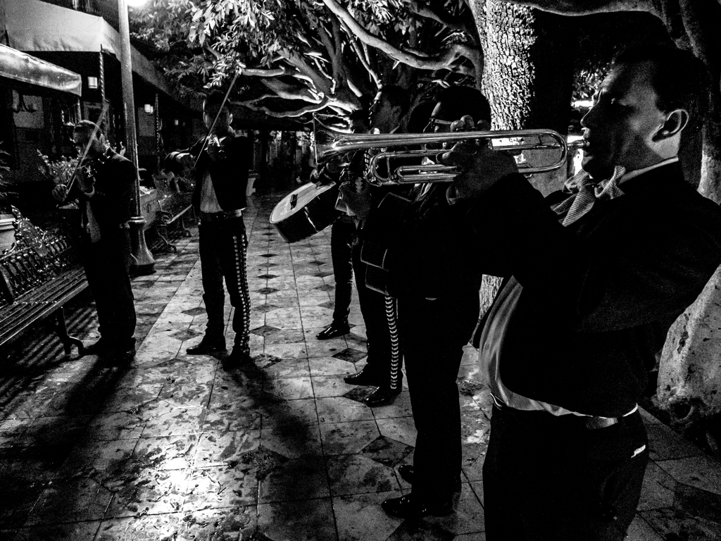 Night of Guanajuato 4