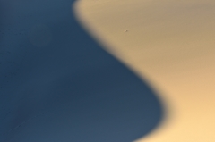Death Valley NP11