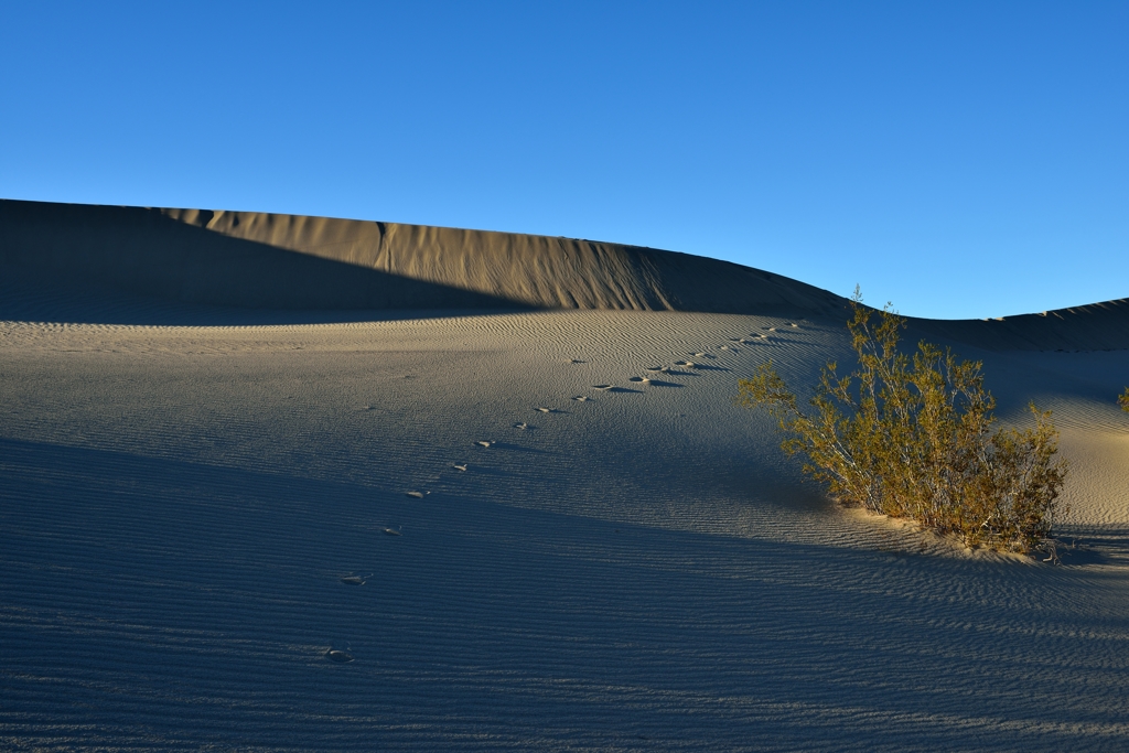 Death Valley NP2