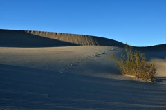 Death Valley NP2