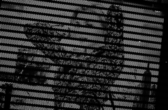 GR0005152