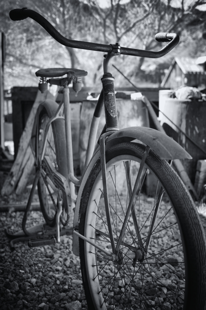 SDIM05732