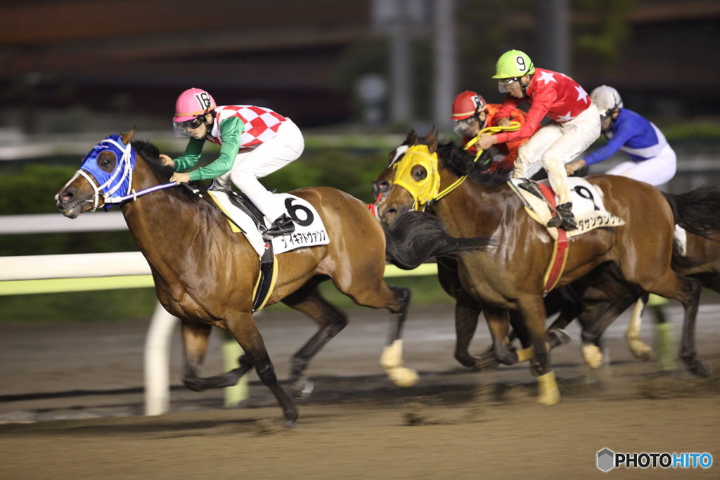 大井競馬11R 北極星賞 Ａ２Ｂ１(一)　選抜特別