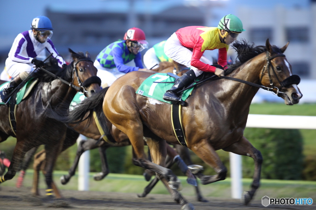 川崎競馬