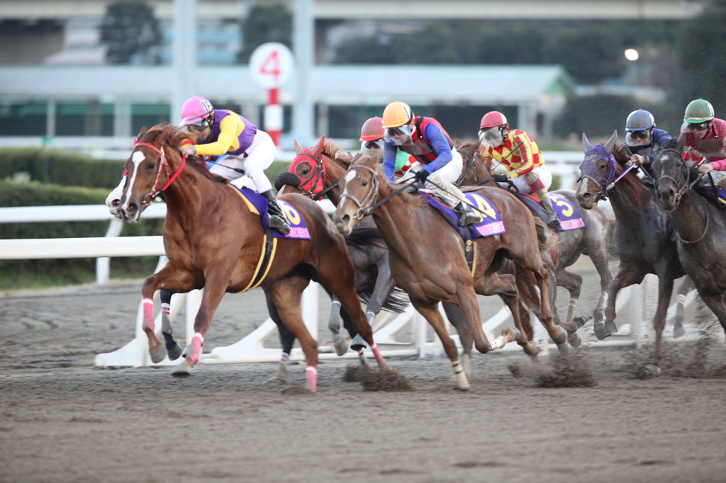 第38回 東京２歳優駿牝馬・ララベル