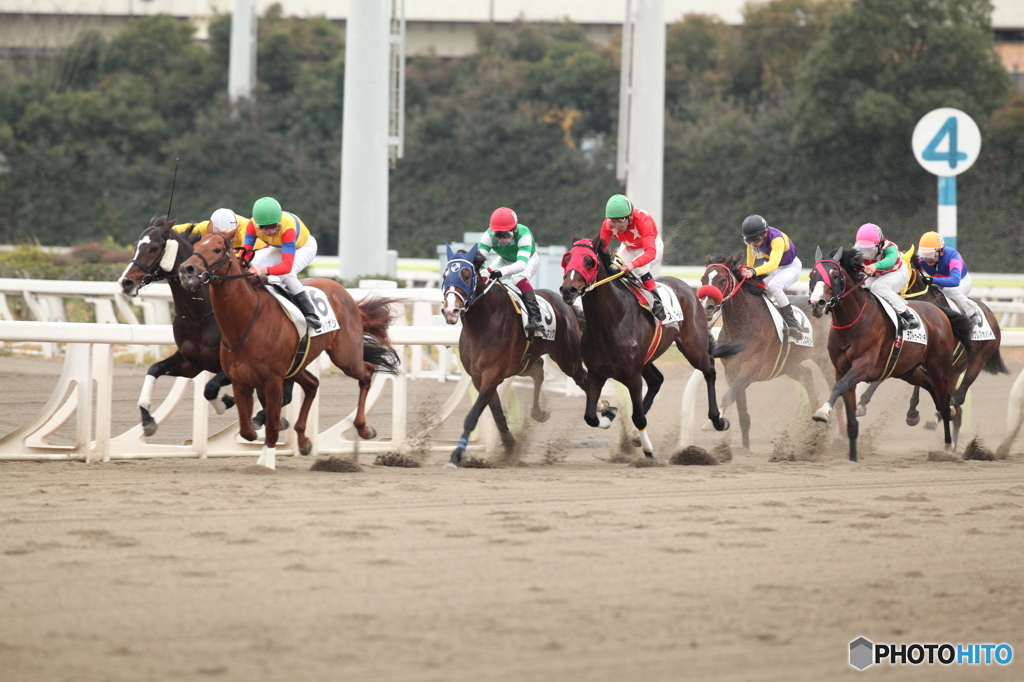 大井競馬