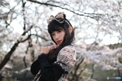 マシュマロ撮影会・秋元るい