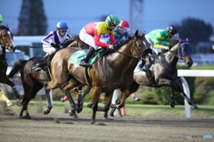 川崎競馬