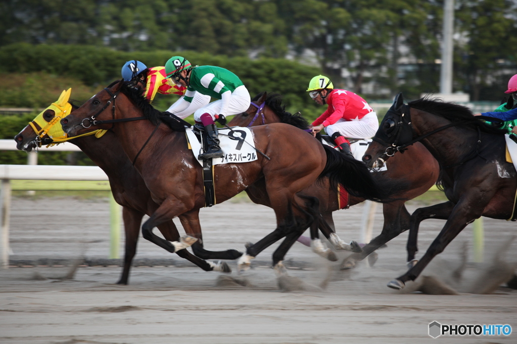 東京シティ競馬